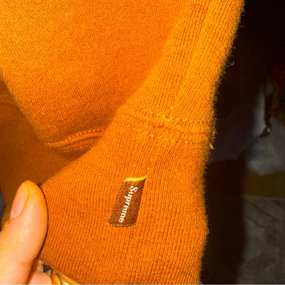 Small sz brown small box logo hoodie